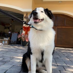 Meet your Posher, Raquel